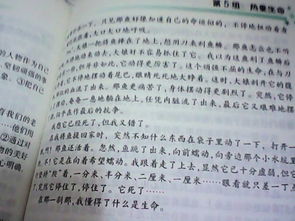 關(guān)于熱愛生活的作文開頭,熱愛生活熱愛寫作作文的開頭,熱愛生活熱愛寫作作文開頭結(jié)尾