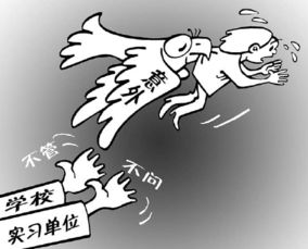 關(guān)于實(shí)習(xí)生的勞動(dòng)保障(關(guān)于實(shí)習(xí)生的實(shí)習(xí)鑒定)