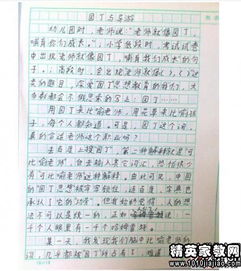 貿(mào)易節(jié)的作文開(kāi)頭