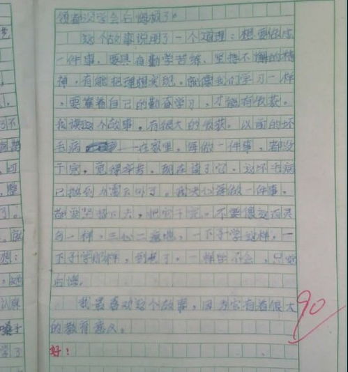 平凡原來如此美作文800字作文開頭