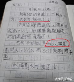 那個(gè)可愛的她作文開頭,可愛的小狗作文開頭,可愛的小白兔作文開頭