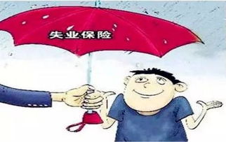 失業(yè)保險(xiǎn)的重要性(失業(yè)保險(xiǎn)基金的重要性)