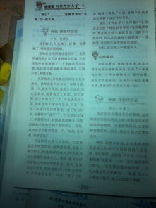 圍繞甜為主題的作文開頭