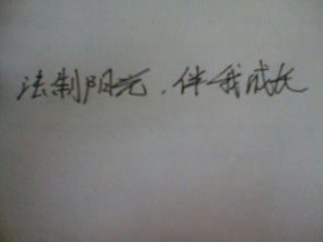 寫(xiě)一段關(guān)于陽(yáng)光的作文開(kāi)頭結(jié)尾