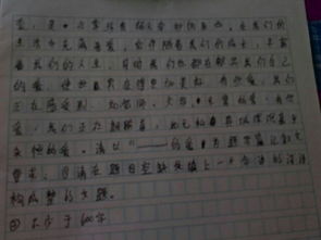 作文開頭寫愛無時不在600