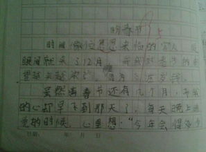 壓歲錢的來歷作文優(yōu)一個(gè)乃開頭
