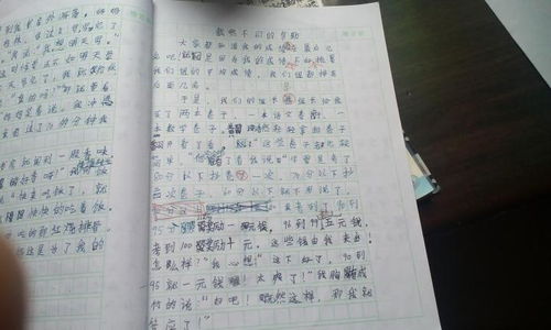 請(qǐng)還給我開頭作文