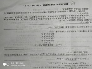 關于寫溪的作文開頭