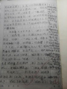 寫愛的作文風(fēng)景開頭