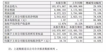 財(cái)務(wù)運(yùn)營情況說明(財(cái)務(wù)年報(bào)情況說明)