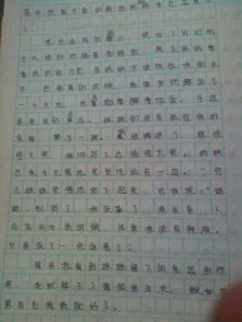 以我錯了為主題的作文600字作文開頭