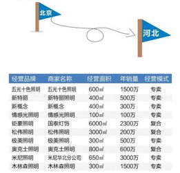 品牌市場(chǎng)調(diào)研報(bào)告(品牌市場(chǎng)調(diào)研報(bào)告)