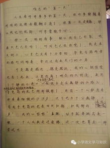 這個(gè)春節(jié)真難忘作文開頭和結(jié)尾