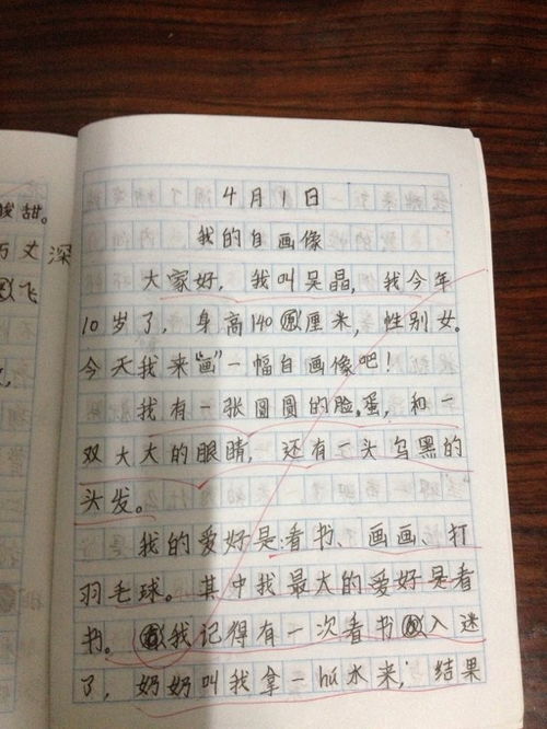 描寫景物的特點加自我感受作文開頭