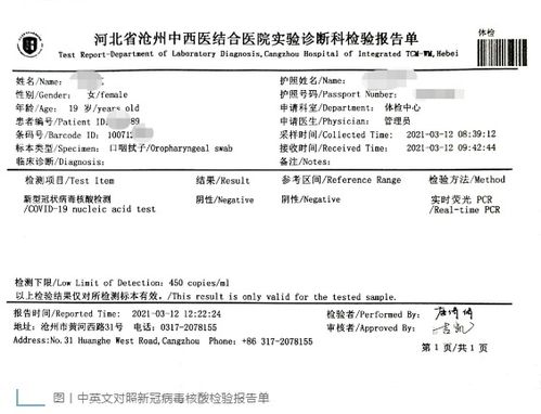 核酸檢測(cè)報(bào)告英文 (進(jìn)行核酸檢測(cè)英文 )