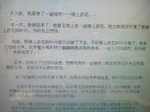 一種最熟悉的花小作文開頭結(jié)尾