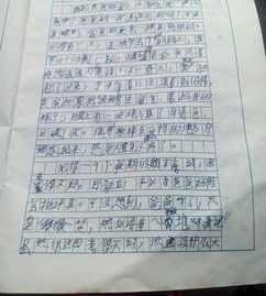 夢(mèng)想的味道的作文600字作文開頭