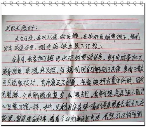 社區(qū)矯正人員的思想總結(jié)(社區(qū)矯正辦人員的工作小結(jié))