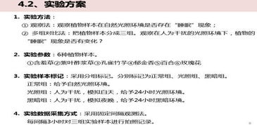 研究過(guò)程記錄(數(shù)學(xué)聽課過(guò)程記錄)