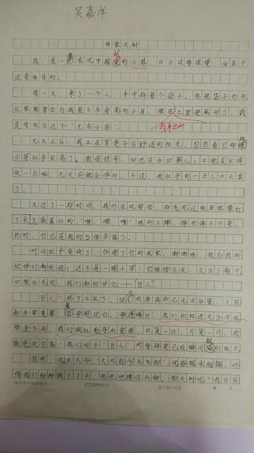 四級(jí)寫(xiě)事寫(xiě)人精彩作文開(kāi)頭