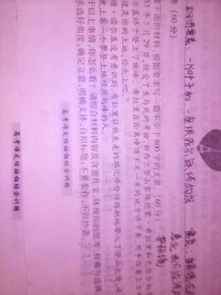 作文,開頭,榮譽,家庭
