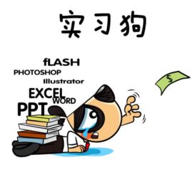 家裝設(shè)計(jì)畢業(yè)實(shí)習(xí)周記(家裝設(shè)計(jì)畢業(yè)實(shí)習(xí)周記)