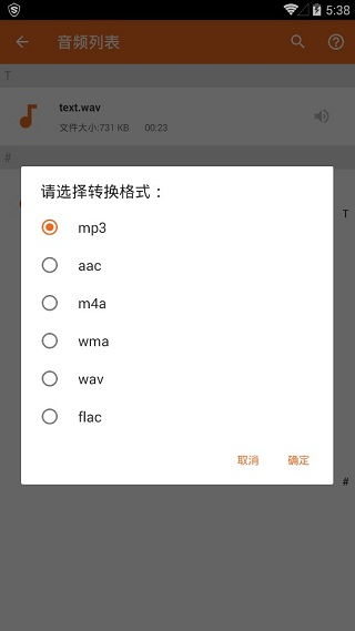 你的聲音里我的作文開頭