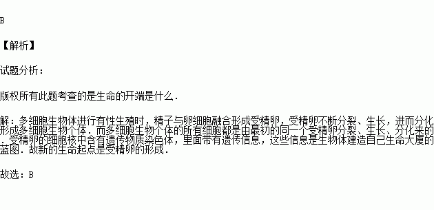時(shí)間就是生命作文開頭