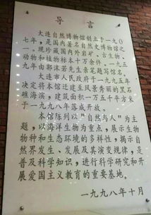 發(fā)現(xiàn)了大自然的奧秘作文,我發(fā)現(xiàn)了大自然的奧秘作文300字,大自然的奧秘三年級(jí)作文