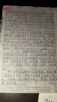 關于牽動感情的作文開頭