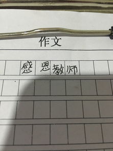 感恩老師五級(jí)作文開頭結(jié)尾