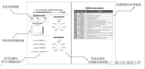 自我分析形成報告(自我評價的形成分析)
