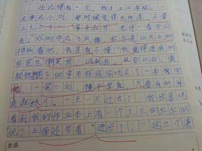 一次難忘的發(fā)現(xiàn)作文600字作文開(kāi)頭怎么寫(xiě)