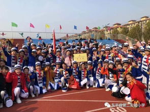 實(shí)驗(yàn)小學(xué)體衛(wèi)藝工作總結(jié)(體衛(wèi)藝工作總結(jié))