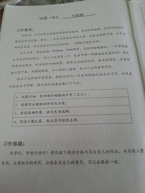 寫植物作文四百字開頭怎么寫