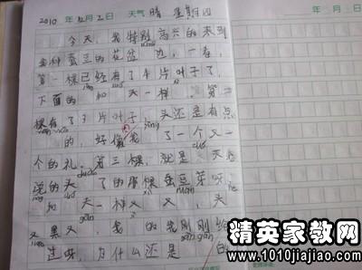 用排比開頭寫植物的作文開頭結(jié)尾