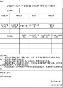 向集團(tuán)的資金申請(qǐng)報(bào)告(向集團(tuán)的資金申請(qǐng)報(bào)告范文)