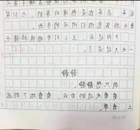 謝謝了我的家六級(jí)作文開頭