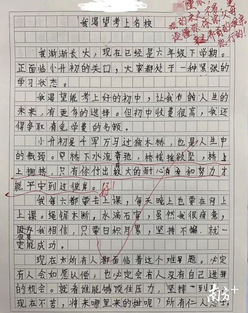 在我的學(xué)校作文開頭結(jié)尾怎么寫