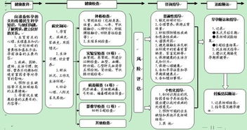 建設(shè)項(xiàng)目實(shí)施方案(學(xué)校建設(shè)項(xiàng)目策劃書(shū))