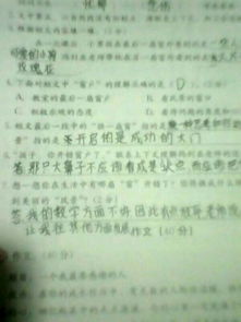 九級(jí)心中的那扇窗作文開頭