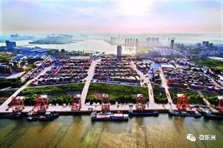 長江新城建在哪兒？(宜家到底建在哪？)
