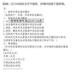 公司年度財(cái)務(wù)收支的審計(jì)報(bào)告(年度財(cái)務(wù)收支情況的審計(jì)報(bào)告)