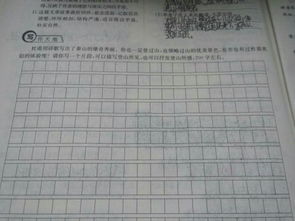 體驗爬山作文開頭