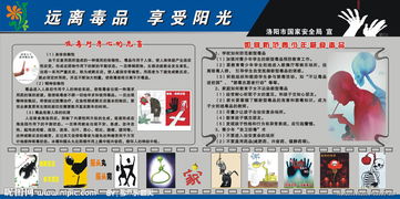 遠(yuǎn)離毒品陽光前行主題作文開頭