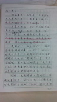 我愛(ài)我的家精選作文開頭結(jié)尾