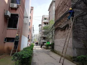 創(chuàng)衛(wèi)生城市建大美廣豐作文開頭
