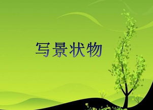 清潔工的實(shí)踐活動(dòng)作文開(kāi)頭