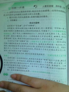 四級動物作文的開頭和結(jié)尾