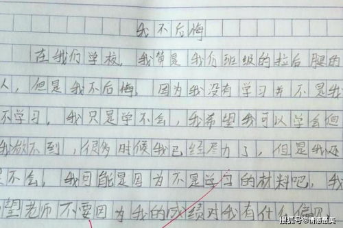 我的一次遺憾作文開頭結(jié)尾